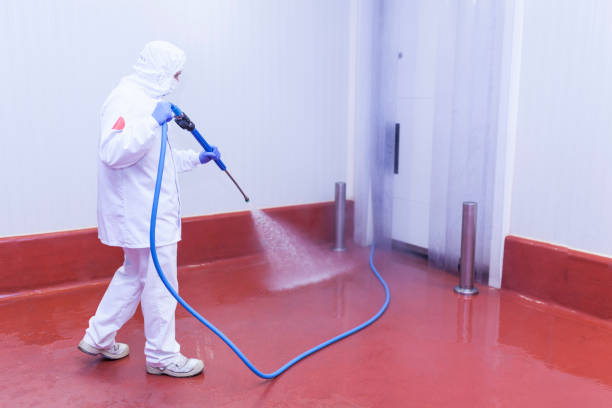 Best Dumpster Area Cleaning  in Elsberry, MO
